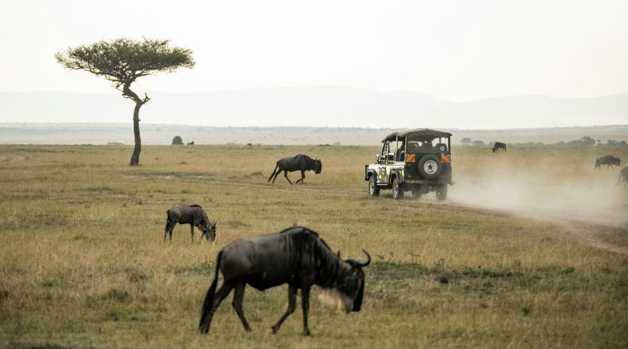 6 Days Lake Manyara | Serengeti & Ngorongoro Crater Safari