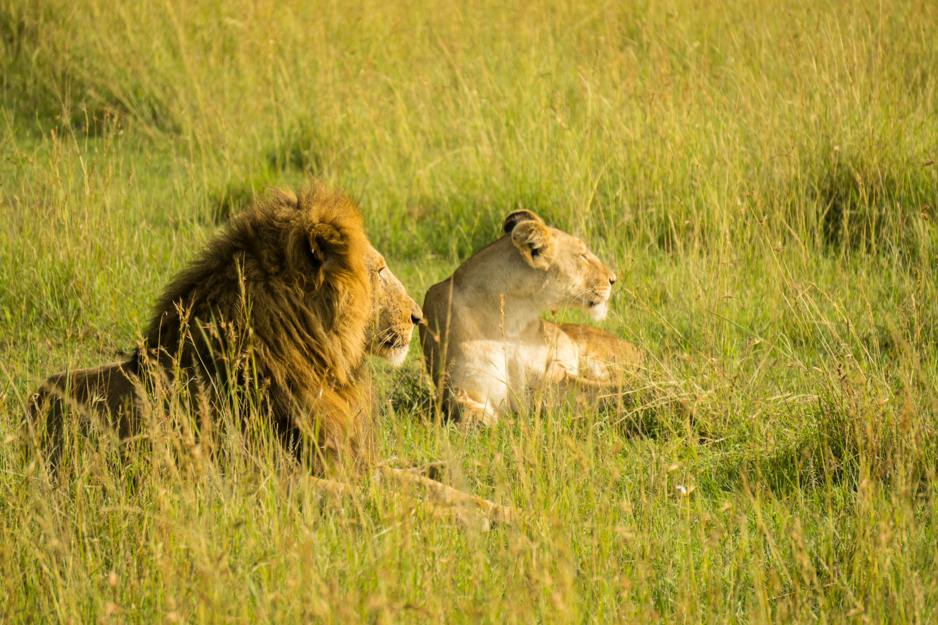Lake Manyara National Park