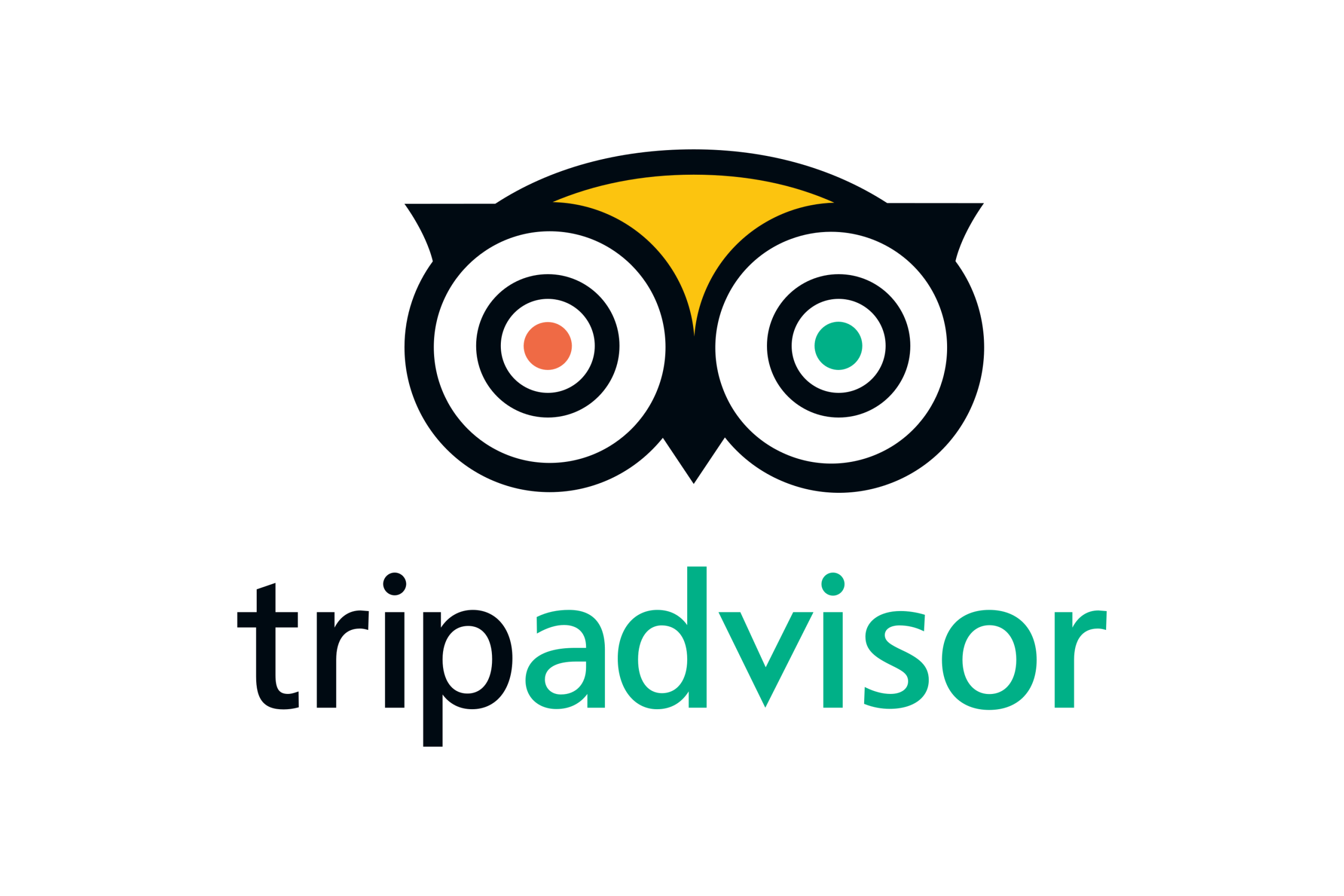 TripAdvisor-Logo.wine_-scaled